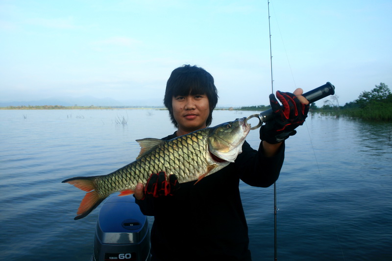 ตัวสวยเลยครับตัวนี้   :blush: :love: :love:





 [q]สวัสดีครับน้า  SUPERCANON [/q]
 :cheer: 