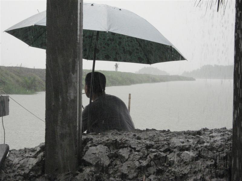ดูซิครับ ฝนก้อยังตกอย่างหนัก น้าต้นเรา อยากลองดูว่า ฝนตกปลากินไม๊ อิอิ กริป  เอิ๊ก ๆ ๆ ๆ ๆ  ๆ ๆ
 :l