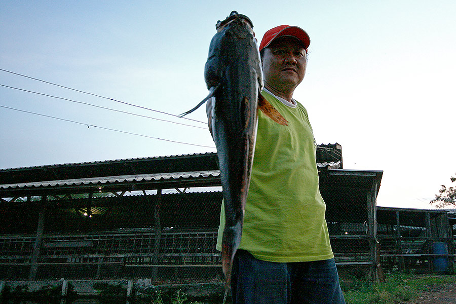 
สวัสดีครับ น้าlovefishing  :cheer:
-----------------------------------------------
เริ่มจะเย็น แ