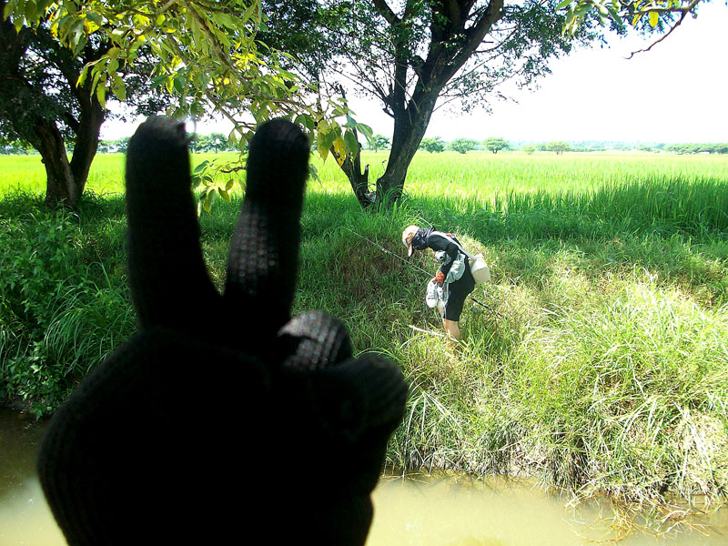 
คนถ่ายรูปฮาได้ตลอด ใช่ซี๊!!! ได้ปลาแล้วนี่ที่สำคัญคนถ่ายรูปมันไม่ได้ข้ามน้ำนี่นา ชูสองนิ้วได้สบาย 