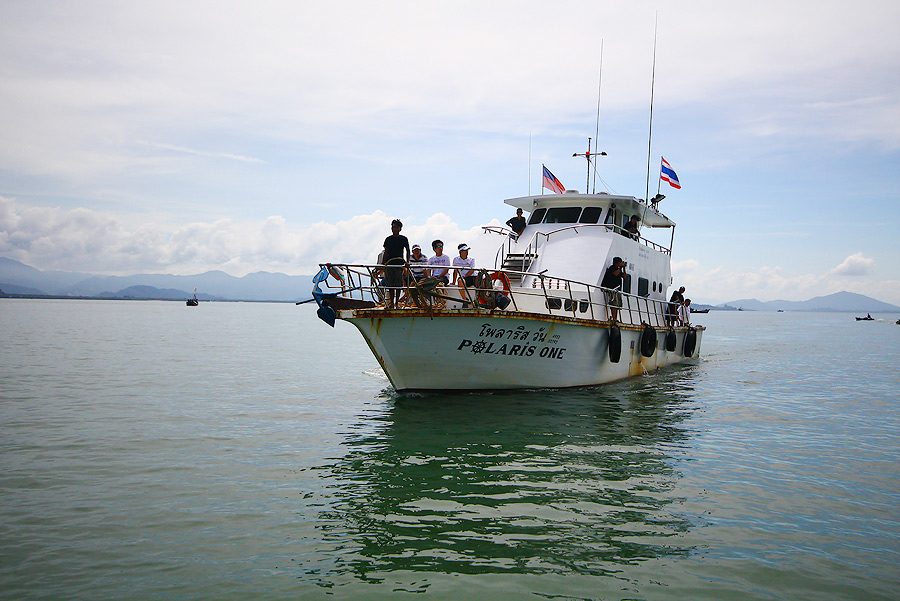 ขึ้นมาเห็นเรือไต๋โทเข้ามา  เย้มีเพื่อนออกแล้ว