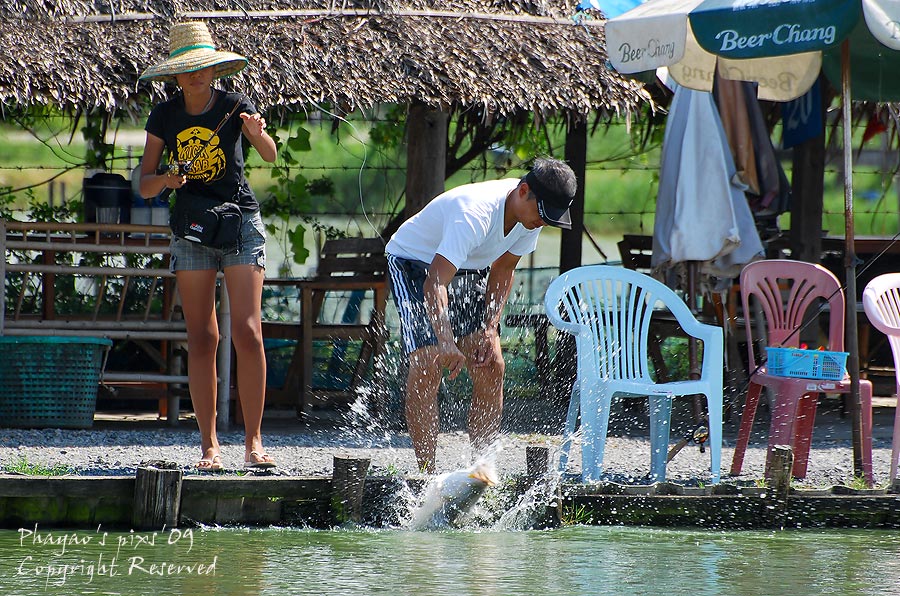 

ชื่อภาพ  ""  โชว์ตัว""     :laughing: :laughing: :laughing: :laughing: