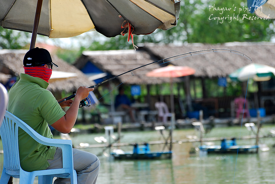 

ลากันด้วยภาพนี้ สุดท้ายแล้วครับ   ใครว่าน้าหนุ่ยตกปลาแล้วแห้วบ่อยๆ  ไม่จริ๊ง ไม่จริง  ผมขอแก้ข่า