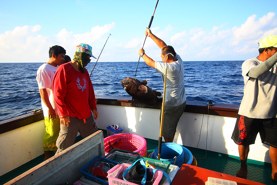 ลงเบ็ดประมาณ10นาที ด้านเรือก็ดึงเก๋าถ่านตัวแรกขึ้นมาโชว์ :cheer: