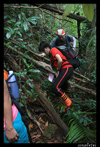 เนี่ย.... เดินขึ้นไม่พอ ยังเจอแบบนี้ตลอดทาง  :laughing: :laughing: