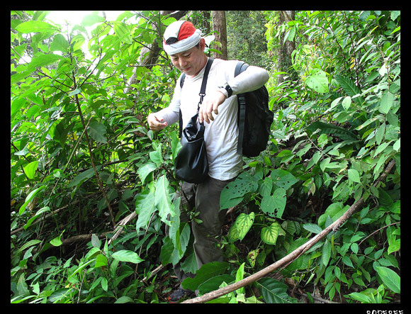 ภาพ : Borebee

กัดฟันเป๋กันจนมาตีนป่าดิบ 