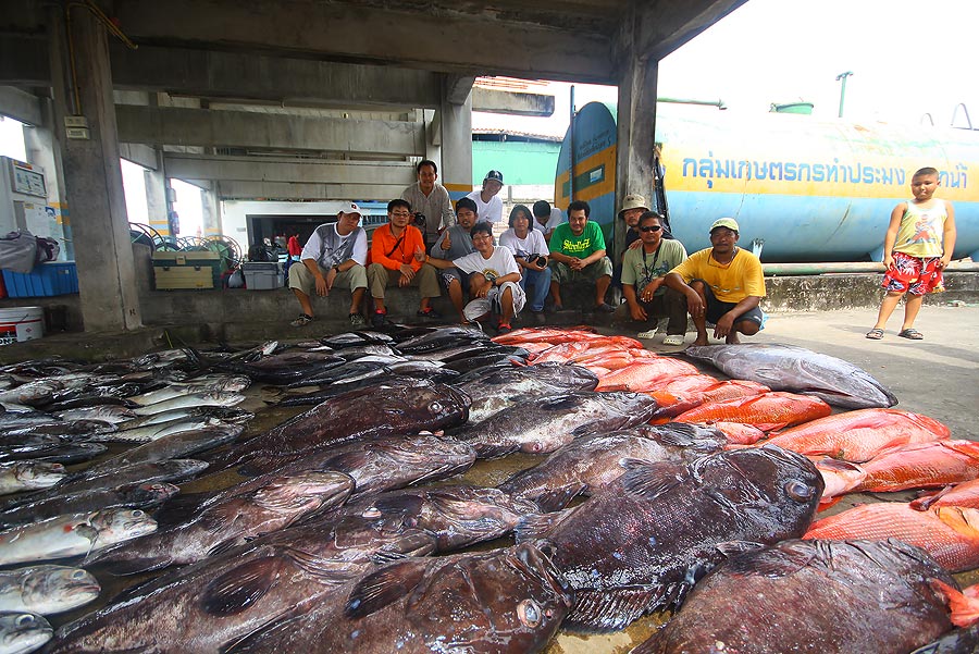 รวมสมาชิกก่อนกับ :grin: :grin:
