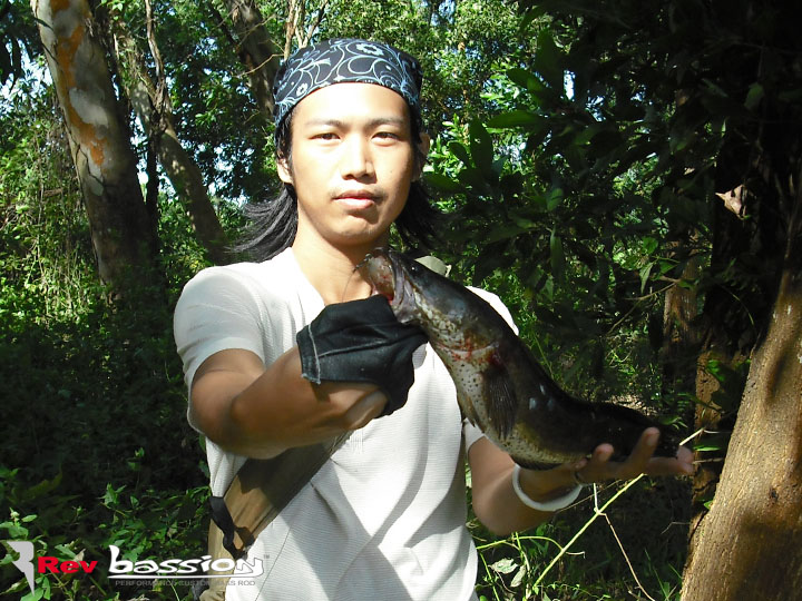 เอ้า โชว์ตัวหน่อย no.12
 :cheer: