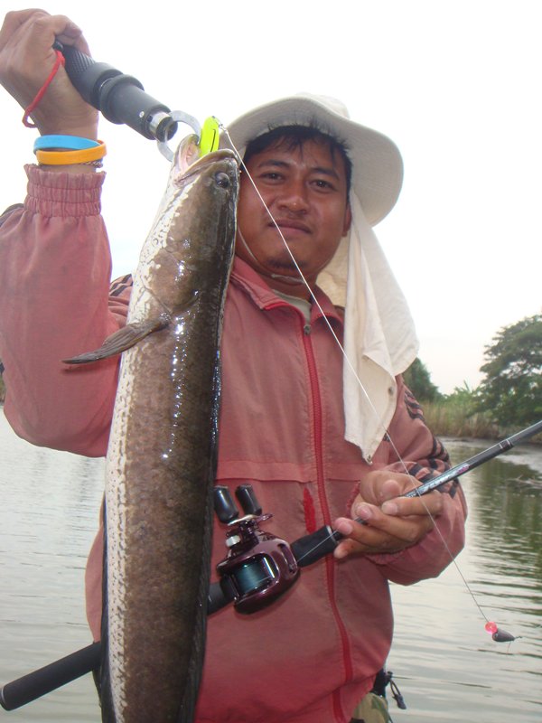 น้าศักดิ์เอเลียนขอหล่อกับผลงานของ