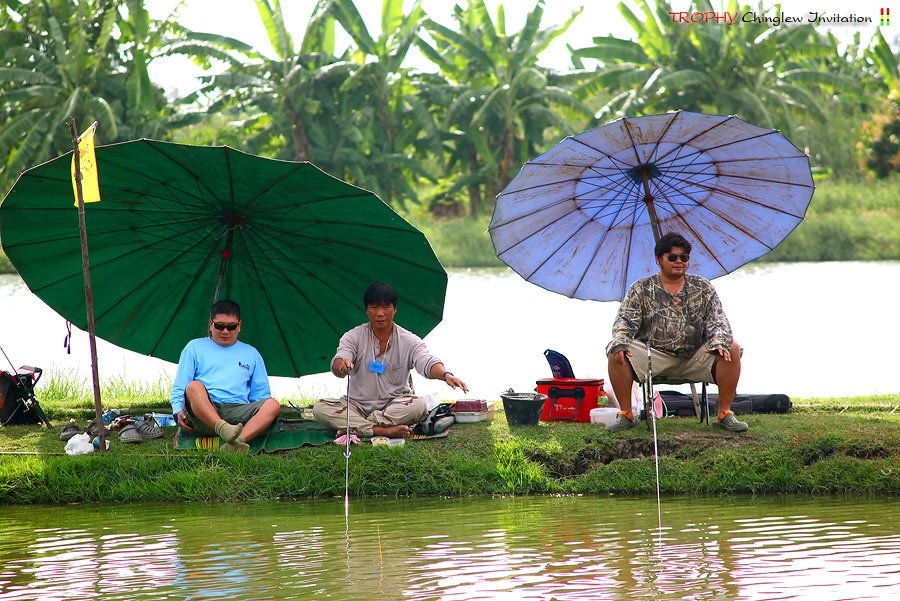 ส่วนสามคนนี้ไม่ยอมย้ายที่ขอประจำอยู่หัวบ่อตลอด  :laughing: