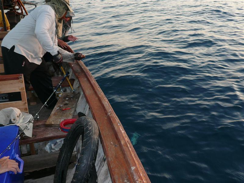 [q][i]อ้างถึง: fishinggoo posted: 25-11-2552, 00:59:11[/i]

+1น่าหนุกจัง   :grin: :grin: :grin:[/q