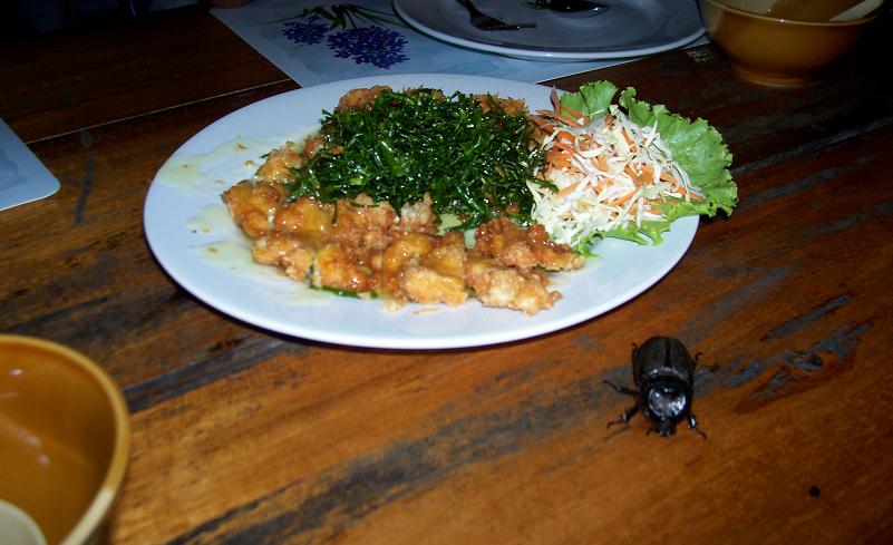 อะตัวอะไร......กินกะสลัดรึเปล่า :grin: