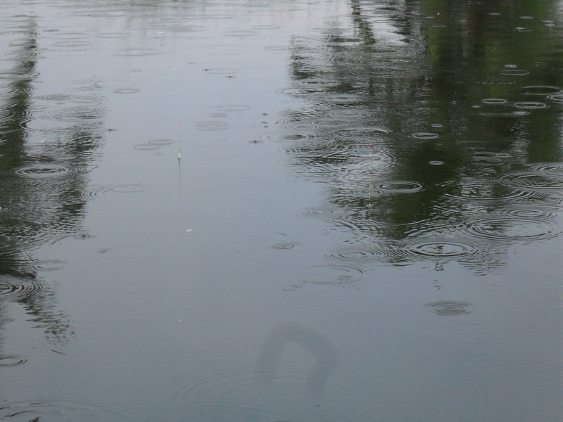  :spineyes: :spineyes: :spineyes: :spineyes:

เอ้า ฝนหนอฝน       ตามมาตกถึงนี่เลยวุ๊ยยยยยย      เซ