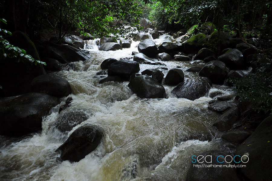 สตางค์  :cheer:

yaseen911  :cheer:

ดูท่าทางฝนจะไม่หยุดตก เราเลยอยู่ที่นี่ได้แค่แปบเดียวครับ...