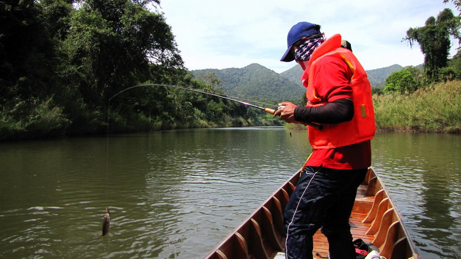 
   เอาให้..หลุดไปเลยไม๊??   เล่นอยู่ได้....รีบเอาขึ้นมาถ่ายรูปเร็ว.....หลุด ขาด ง้าง......

   ค