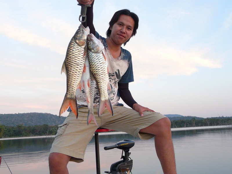 ปลารวมครับสำหรับวันนี้.. :grin: :grin: