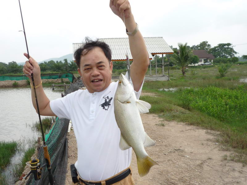 ใหญ่ขึ้นมาหน่อย  จัดไปน้าหนึ่งอ็อด
