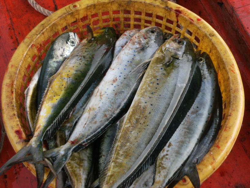 หนึ่งเข่งหัวเรือ  ครึ่งเข่งท้ายเรื