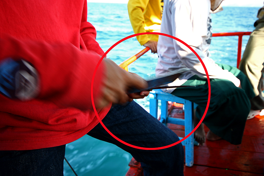 
ควั่บๆๆ  ลับอย่างใจเย็น

เอาแบบแค่แตะๆ ก็บาดเข้าเนื้อเลยนะ

 :grin: