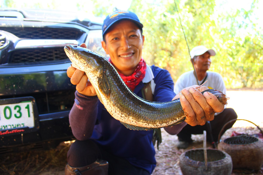 ป๊าดดด...ของเจ้าโอ๋....ตาย ๆ ๆ...ผมไม่กล้าโชว์เลยครับ.... :laughing: :laughing: :laughing: :laughing