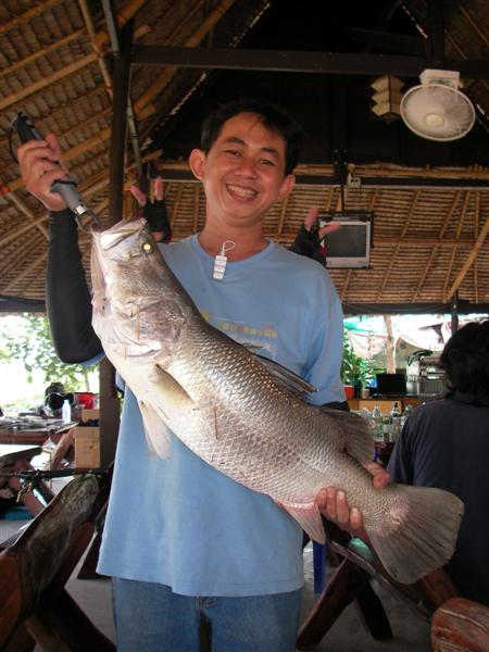 -------------------------------------------------------------------------


ฝากให้น้าดอนหนึ่งภาพค