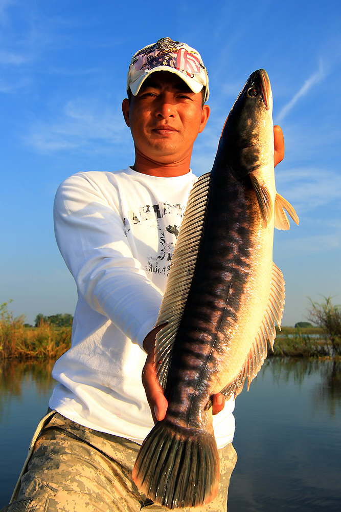 nonm_actionlure................สวัสดีครับ น้าหนุ่ม........ทันมากเลยครับ
 :grin: :grin: :grin: :grin