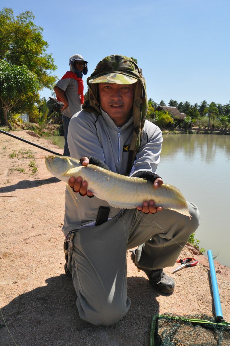 สมาชิก ฟราย Rayong Tackle and All Wood บางคนคงตาร้อนน่าดู
ดูเอาเองครับ เอิก เอิก เอิก

 :laughing