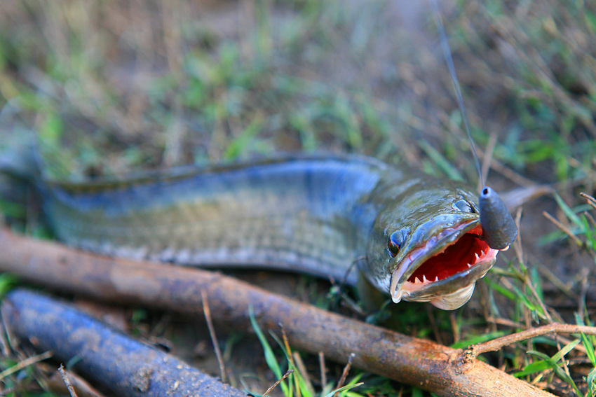 [q][i]อ้างถึง: น้องเบท posted: 02-12-2552, 10:28:11[/i]

 :ohh: :ohh: :ohh: :ohh: :ohh: :ohh: :ohh