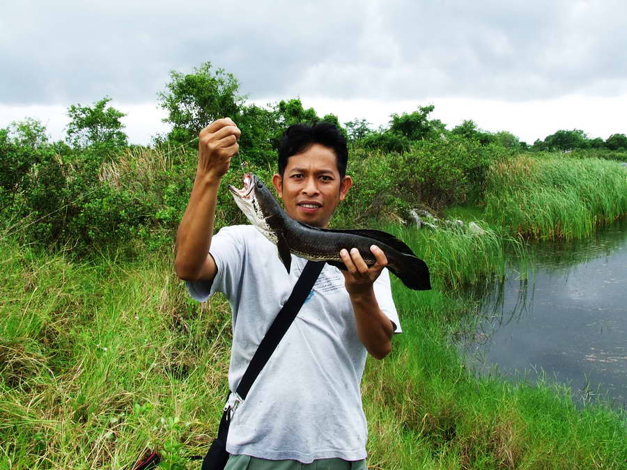 สงสัยโมโหจัด   [b]ซัดน้องอ้วนของผมเข้