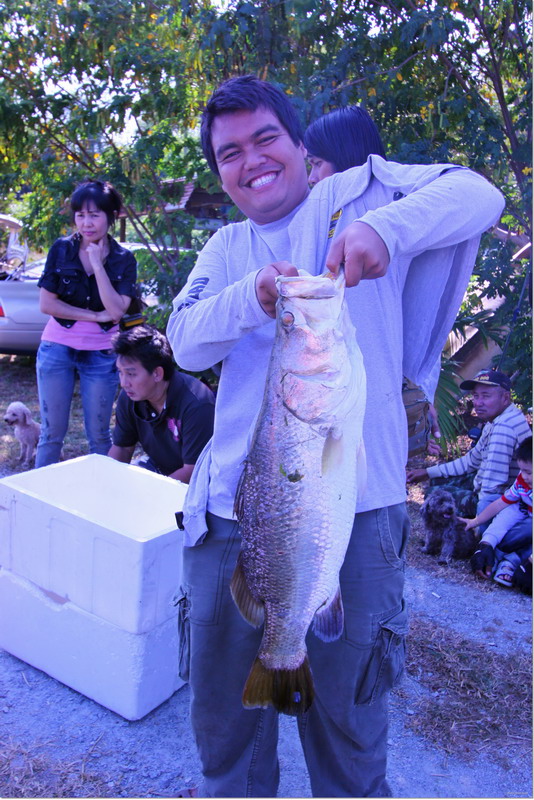                                                                                           พูดถึงเรื่