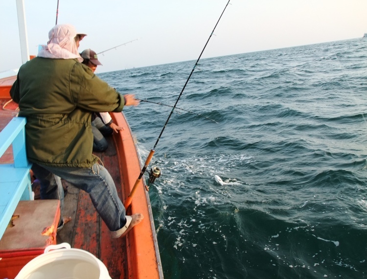  [b]ข้างหน้าเรือ อ๊อฟ ก็โดนปลากินดีมากเลยถ่ายรูปไม่ค่อยทันครับ[/b]