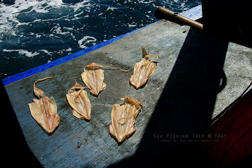 ผมนั่งอยู่ในเก๋งเรือระหว่างทาง เห็