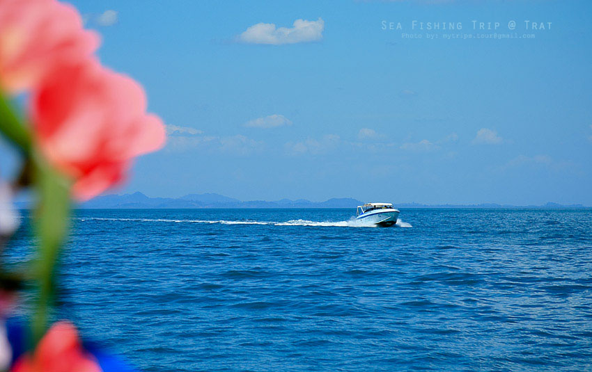 มีเรือมุ่งหน้ามาที่เรือเราด้วย  :ohh: