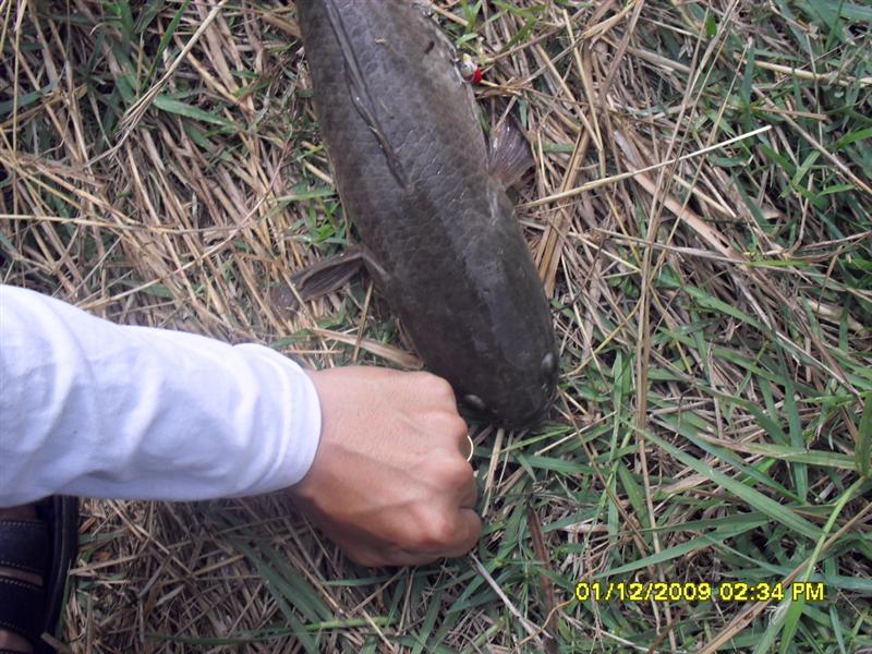 เทียบขนาดหัวกับมือ ดูแล้ว
หัวใหญ่กว่ามือซะอีก 
 :cheer: :cheer: :cheer: :cheer: :cheer: