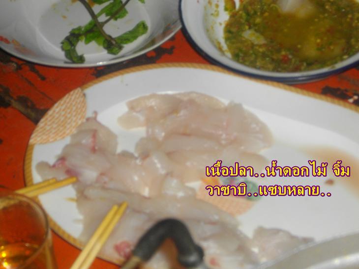 ปลาดิบ 