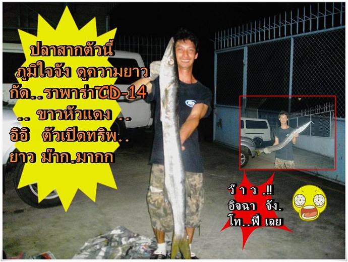 อิอิ....วัน ที่6/7/8 ธ.ค นี้ ไปลงอีกครับ  จะ