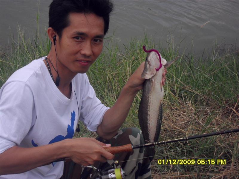 ตัวกำลังดีครับ
นน.ชั่งก่อนออกบ่อ 1 กก.พอดี
 :cheer: :cheer: :cheer: :cheer: