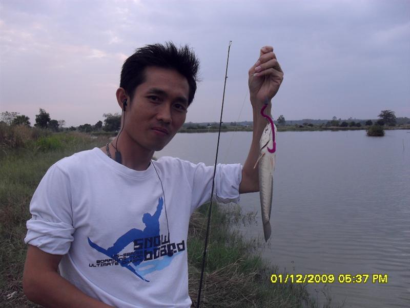 ตามธรรมเนียนครับ
น้องช่อนหลงหนอนยาง กับนักตกปลาหน้ามน

แล้วก็ปล่อยกลับลงบ่อตามเดิม
เพื่อวันหน้าจ