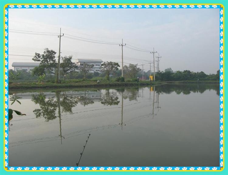 ด้านโน๊น มีปลาขึ้นอีกแล้วครับ เดินไม่ไหวไกลจัง อิอิ
 :laughing: :laughing: :laughing: :laughing: :l