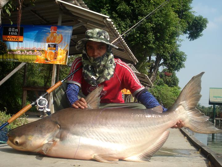 ตัวนี้เอง :laughing: :laughing:
