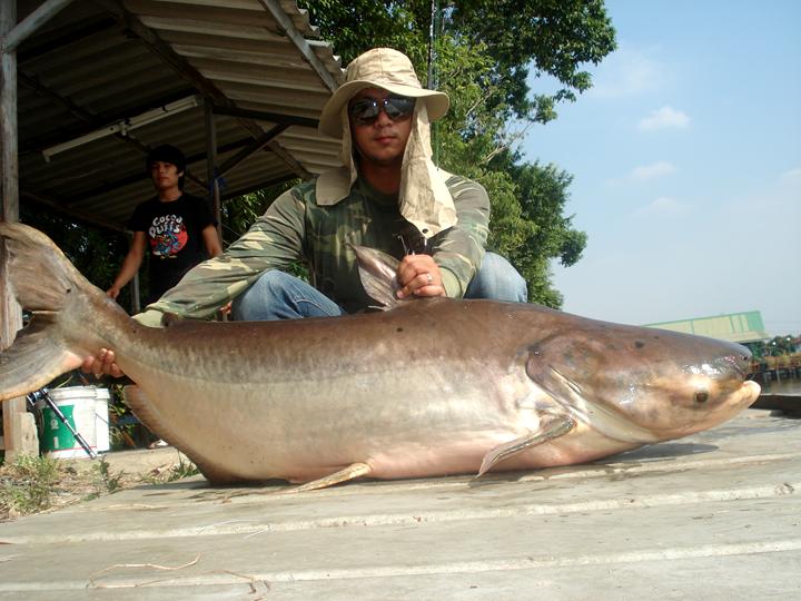 เอาไปอีกรูปเลย :cool: :cool: