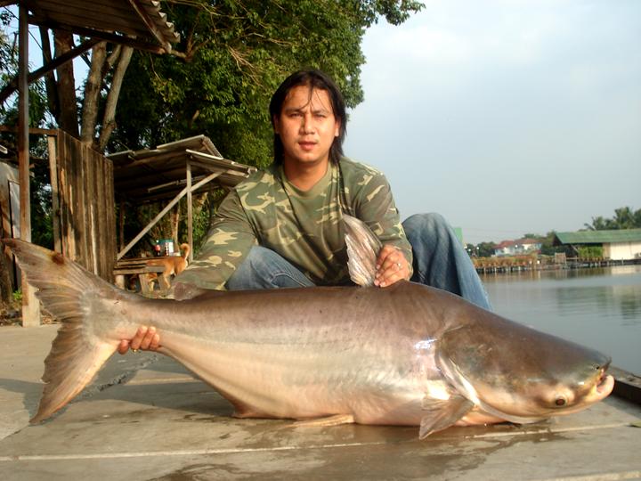 ตัวนี้เอง :grin: :grin:
00000000000000000000
สวัสดีครับน้าsuzuki ขอบคุณครับ :cheer: :cheer: