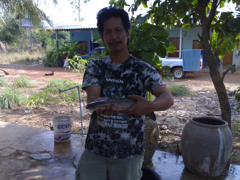 โชว์ผลงานครับ....
