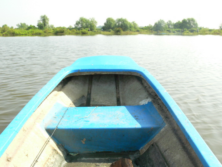ผมก็ลงเรือมั่ง ไปตีกลางบ่อ
แต่ลมมั