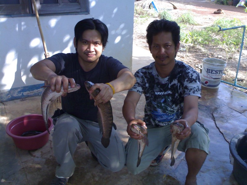 โชว์กันใหญ่.... :grin: :grin: