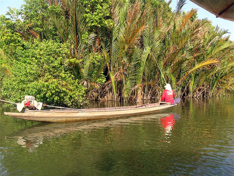   [b]ชาวบ้านที่มีความชำนาณ ก็จะเลาะเรือไปตามชายป่า ริมตลิ่ง คันไม้ไผ่ สายเอ็นสองร้อยปอน์ด ผูกเบ็ดตัว