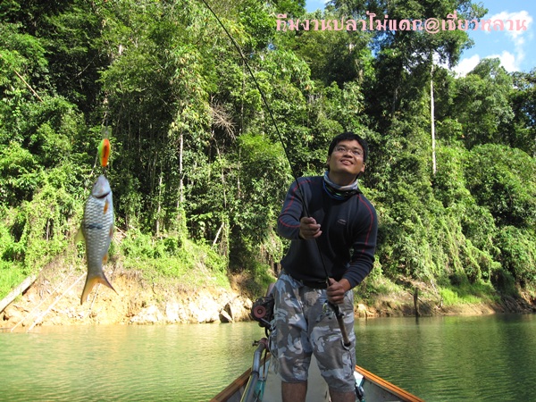 ผมเรืองศักดิ์ สมพงษ์ หรือนายเปิ้ล เป็นคนกรุงเตจ ปัจจุบันแวะมาทำงานอยู่สุราษฎร์ฯ :grin: :laughing: :l