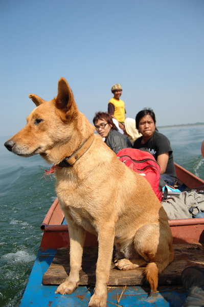 กระทู้แรกในรอบ 1 ปีพอดี เอ๊กๆ