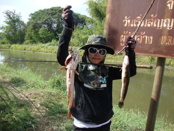 [b]หนายๆๆ เอาปลาช่อนพ่อบ้านมาอวดมั่ง