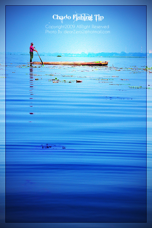  [b]อำลาด้วยภาพนี้ขอขอบคุณทุกท่านที่เยี่ยมชมและขอขอบคุณwww.siamfishing.com[/b] :cheer: